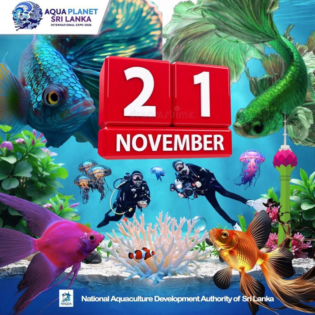 Fisheries Innovation